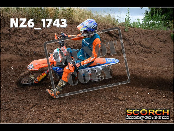 Experts-059