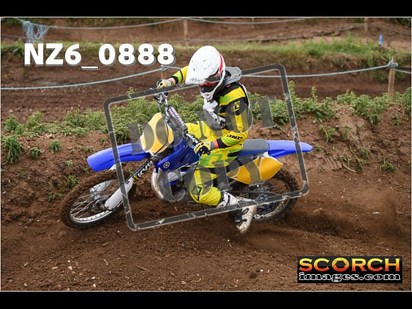 Experts-081