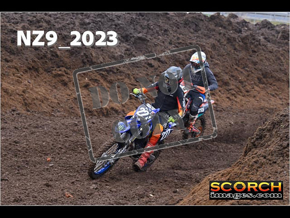 Experts-084