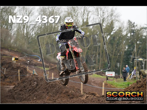 Experts-213