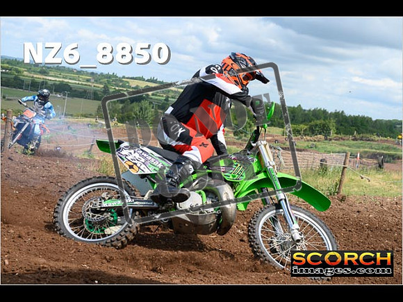 IntersGreen-010