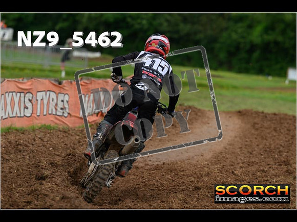 Experts-393