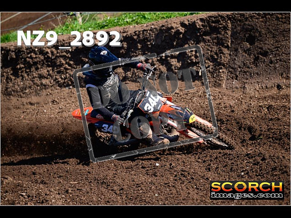 Experts-065