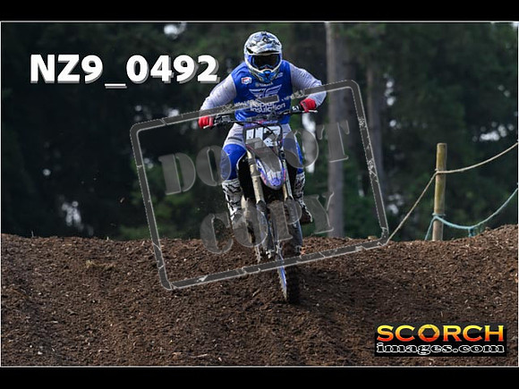 Experts-081