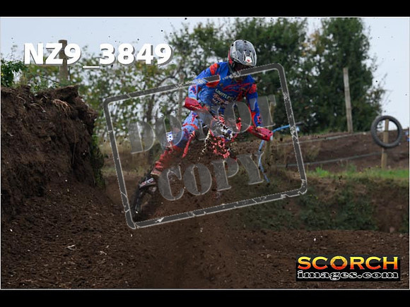 Experts-120