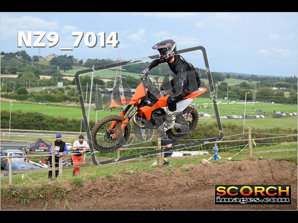 Experts-087
