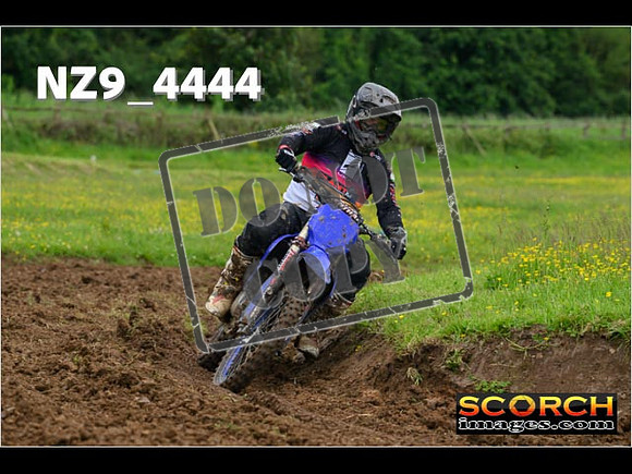 Experts-163