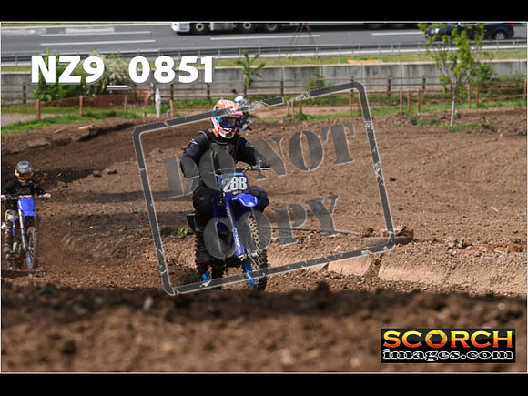 IntersGreen-381