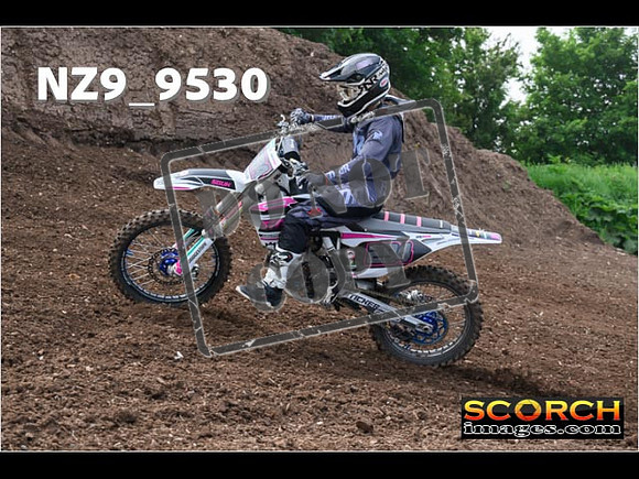 Experts-052
