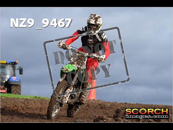 Experts-119