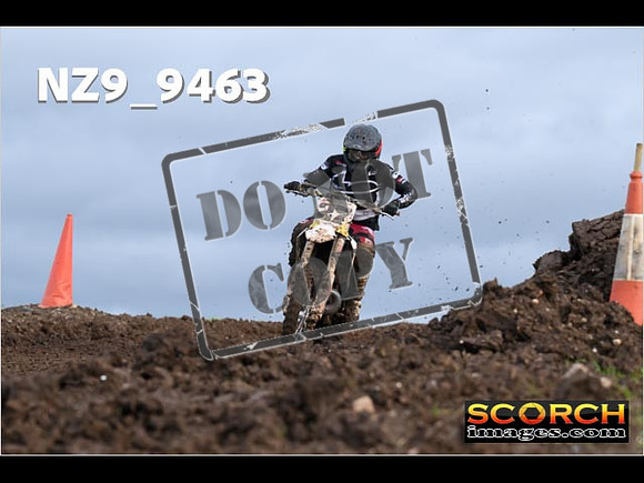 Experts-115