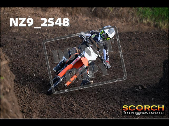 Experts-134