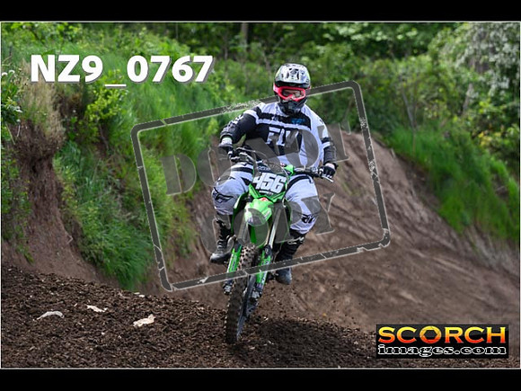 IntersGreen-299