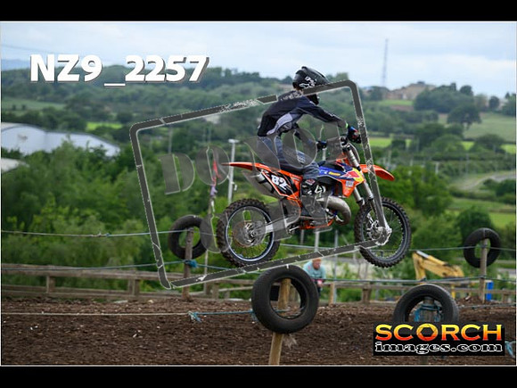 Inters GreenOrange-063