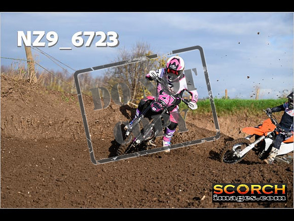 Experts-136