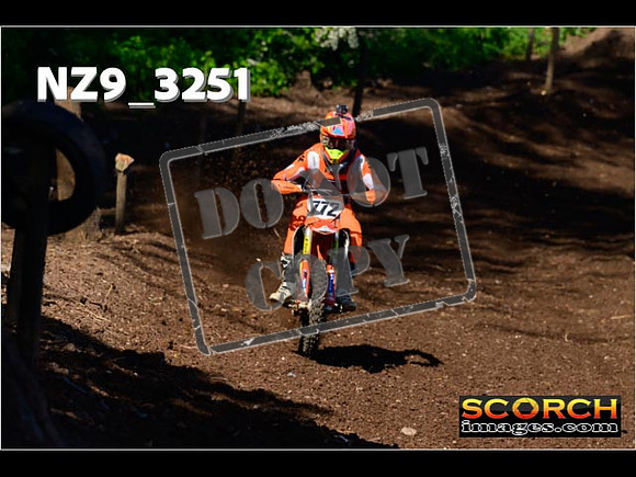 InterGreen-006