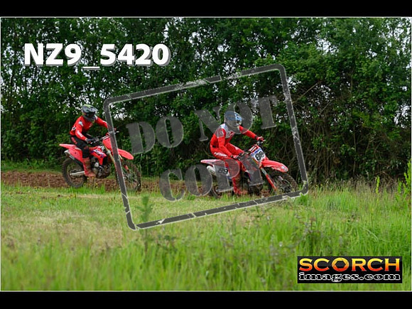 Experts-352