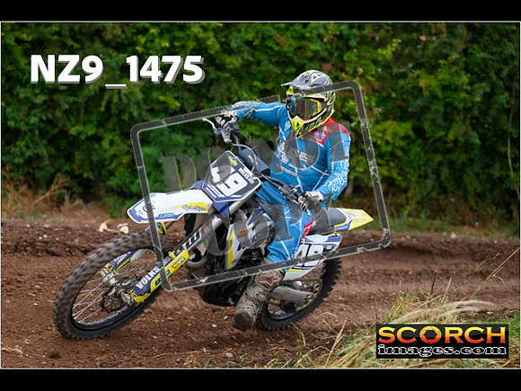 IntersBlue-332