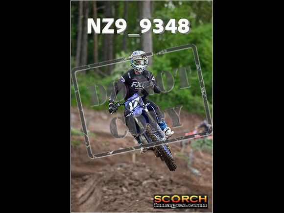 Experts-067