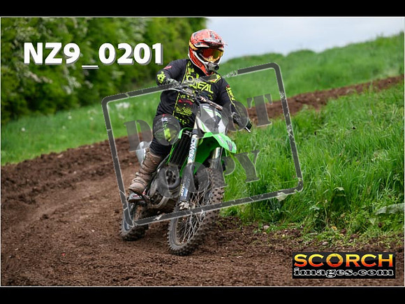 IntersGreen-152