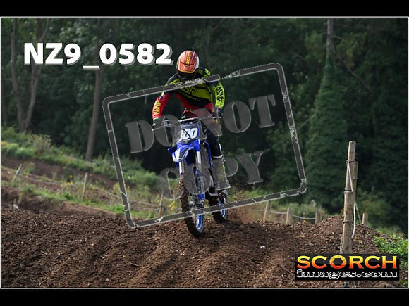 Intermediates-081