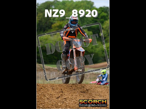 Experts-137