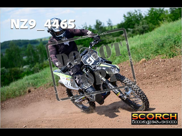 InterGreen-362