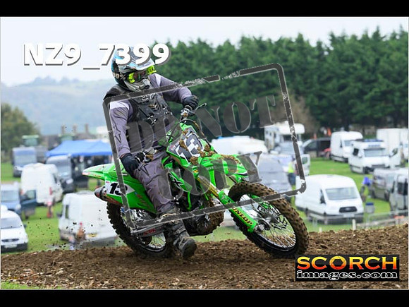 Novice-100