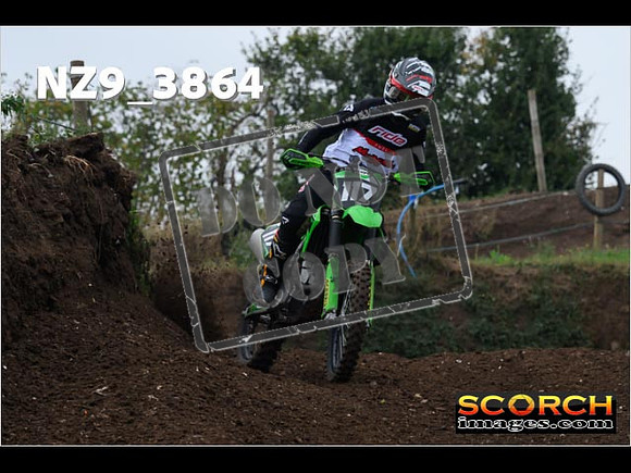 Experts-133