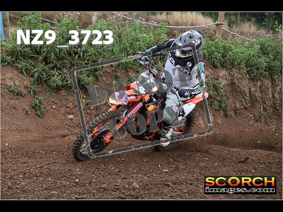IntersGreenOrange-088