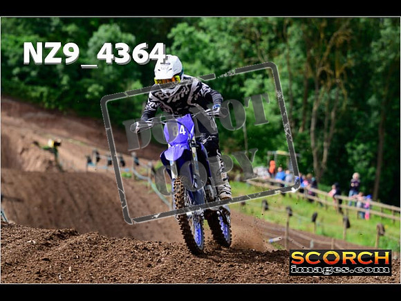 Experts-037