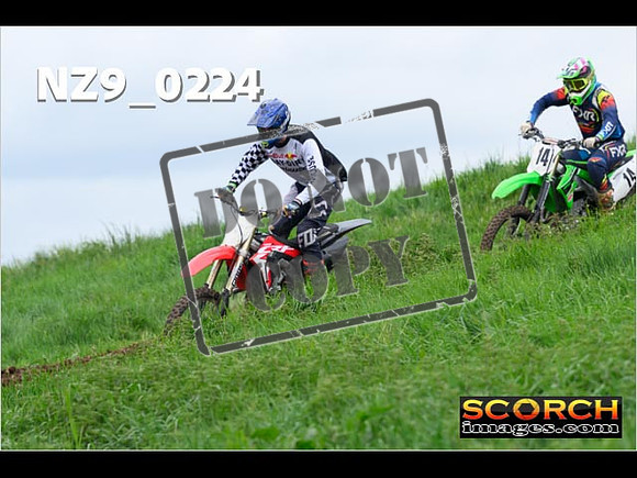 IntersGreen-174