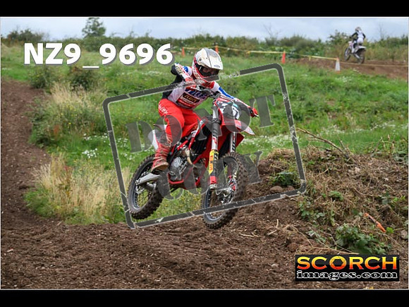 Experts-091