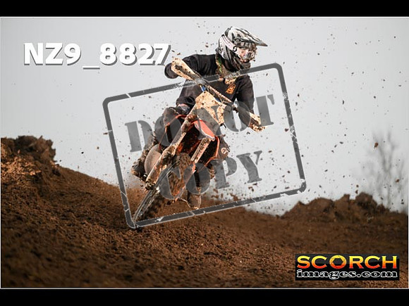 Experts-119