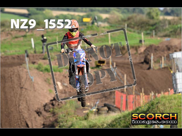 Experts-235