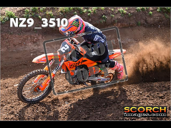 Experts-077