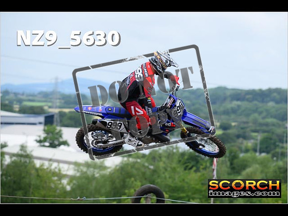 Experts-035