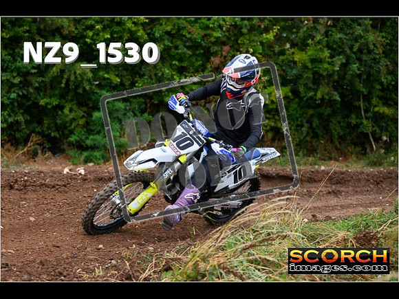 IntersGreen-096