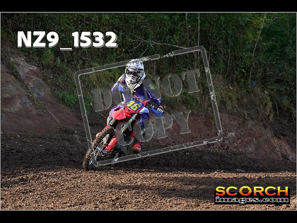 Experts-219