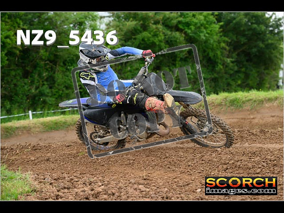 Experts-367