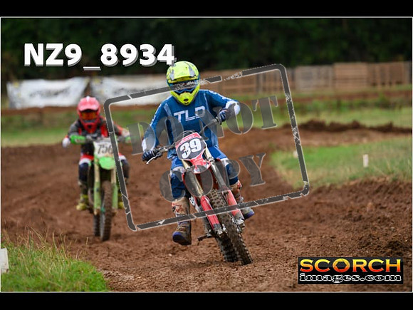 Experts-150