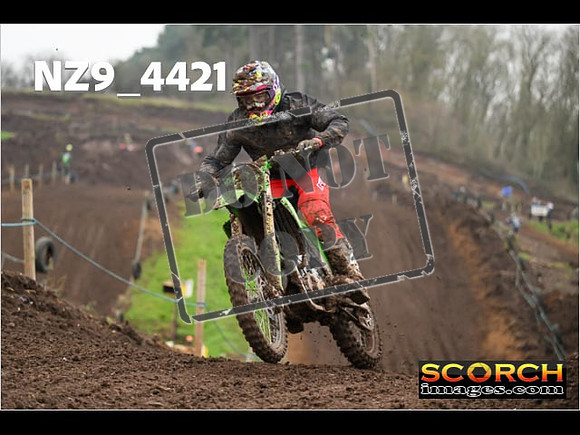 Experts-263