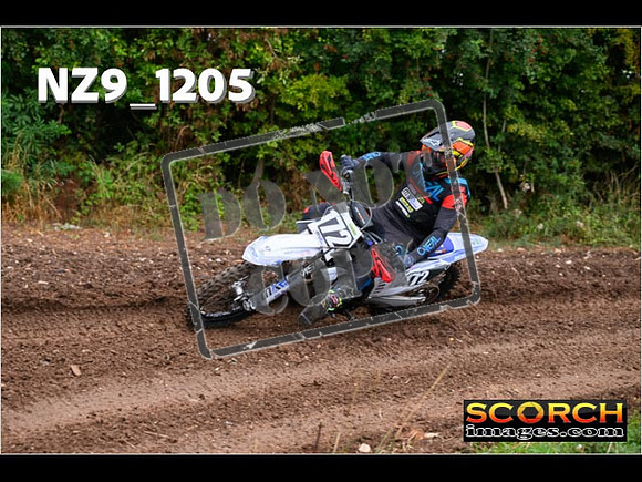 Experts-084