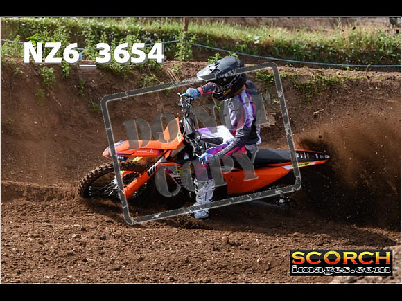 Experts-080