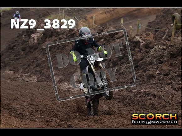 Experts-025