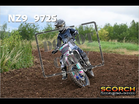 Experts-117