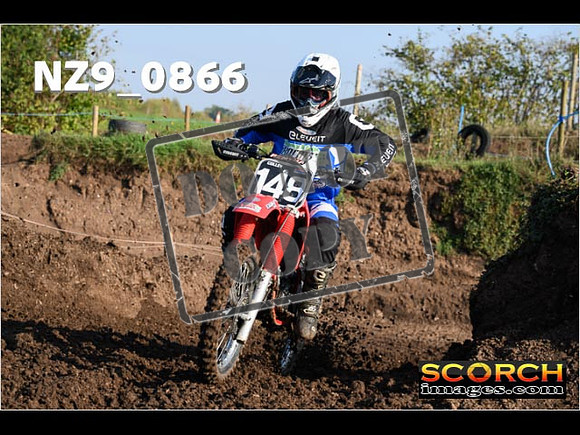 Experts-081