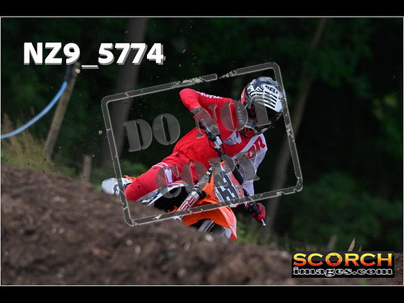 Experts-031