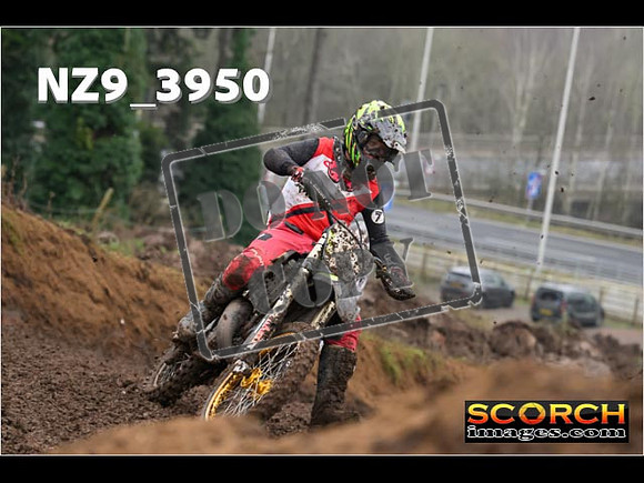 Experts-141