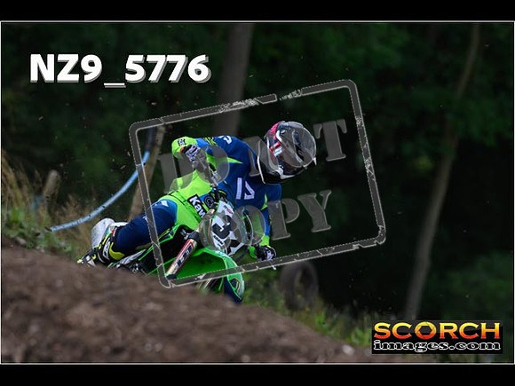 Experts-033